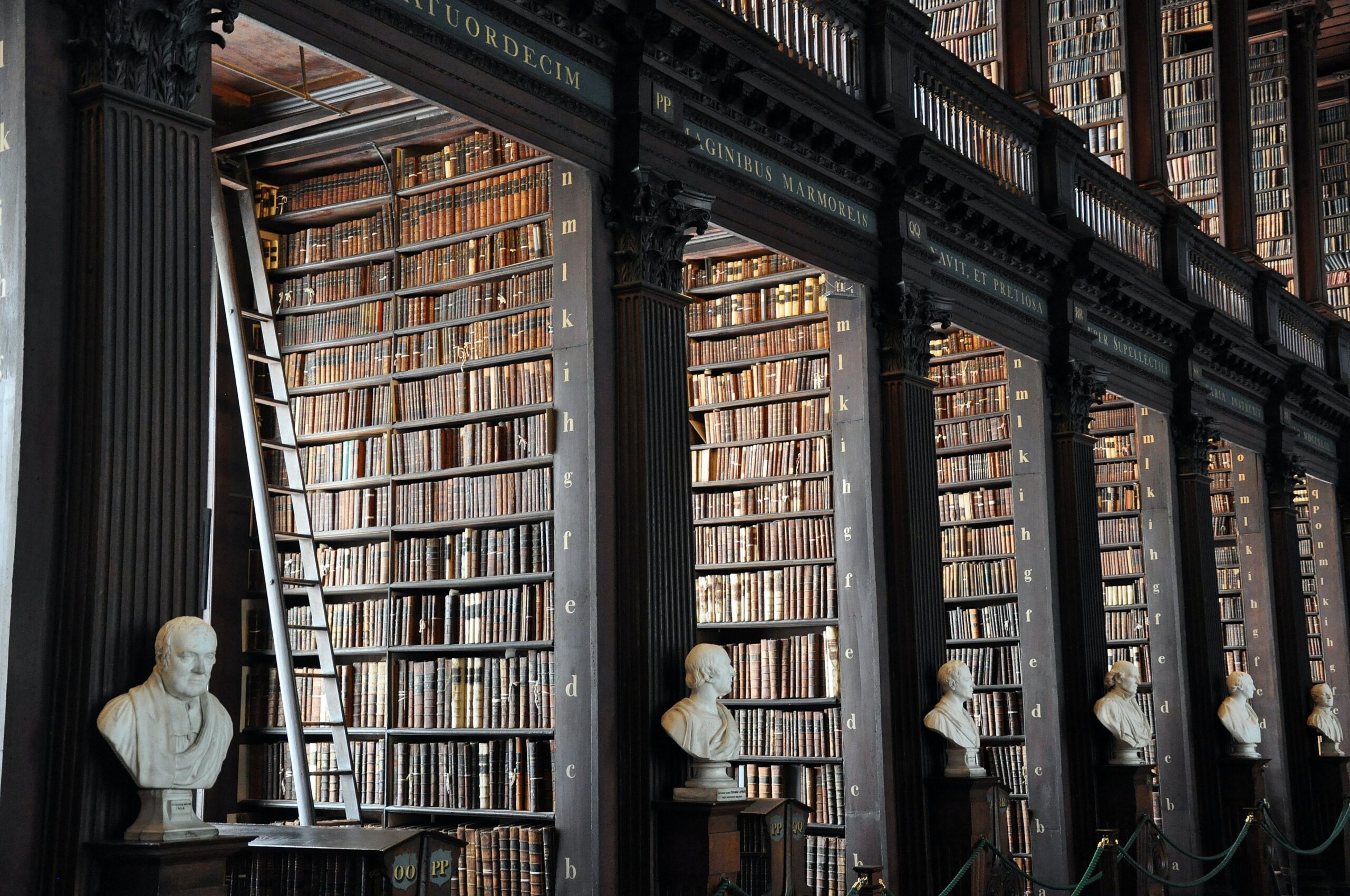 I’ve Completed My Law Degree – What Next?