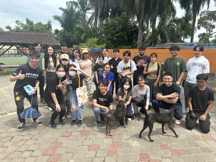 A Pet Shelter Project