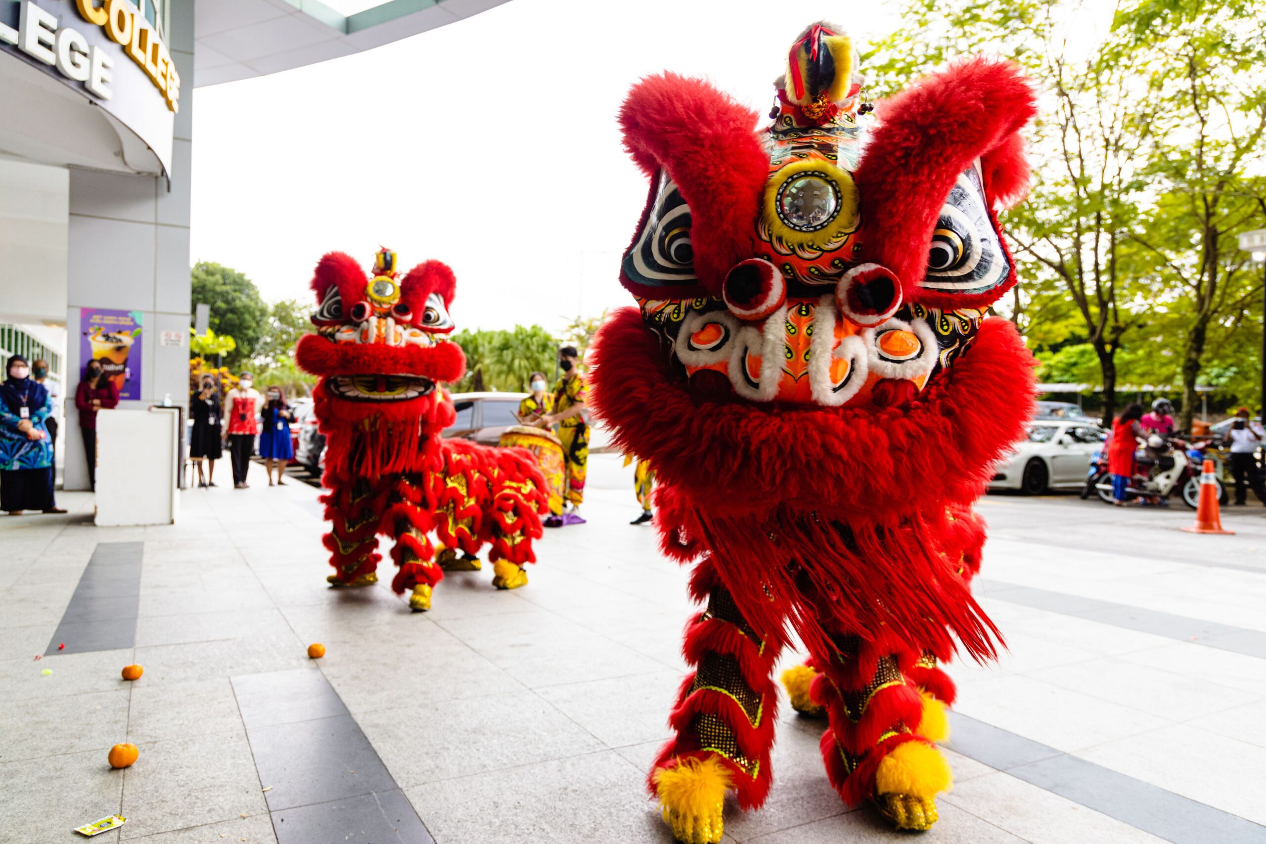 A Roaring Welcome To The Year Of The Tiger