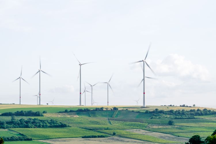 Law for the Planet: Advocating for Environmental Justice