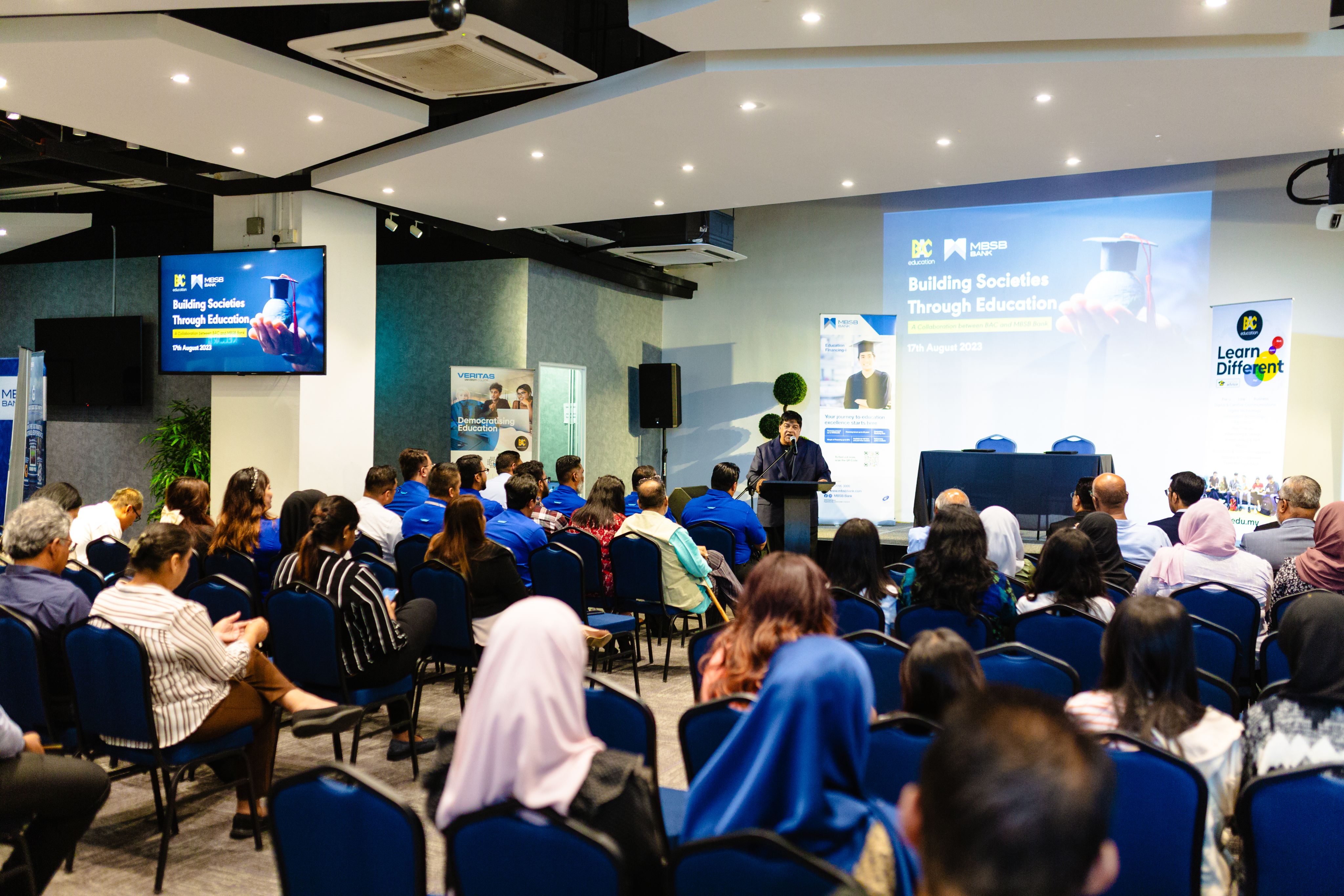 Small yellow flowers growing from stone.