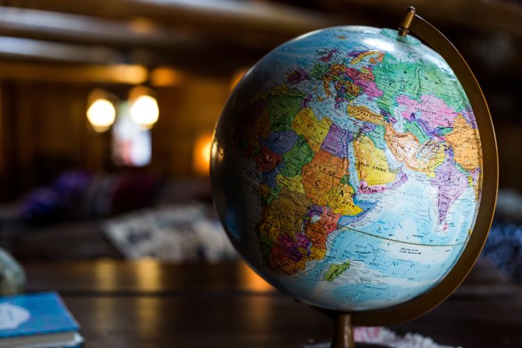 Why Studying Business Is Your Ticket to a Global Career 