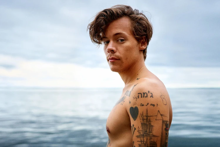 How Harry Styles Turned a Tour Announcement into a Masterclass in Fandom Marketing